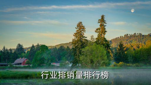 行业排销量排行榜