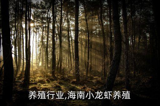 海南养殖行业,海南小龙虾养殖