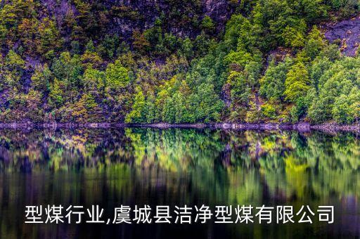 洁净型煤行业,虞城县洁净型煤有限公司