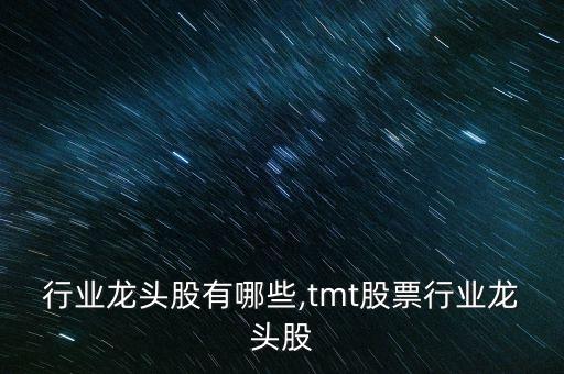 行业龙头股有哪些,tmt股票行业龙头股