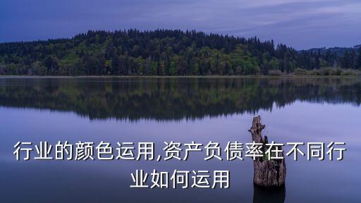 不同行业的颜色运用,资产负债率在不同行业如何运用