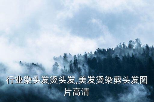 美发行业染头发烫头发,美发烫染剪头发图片高清