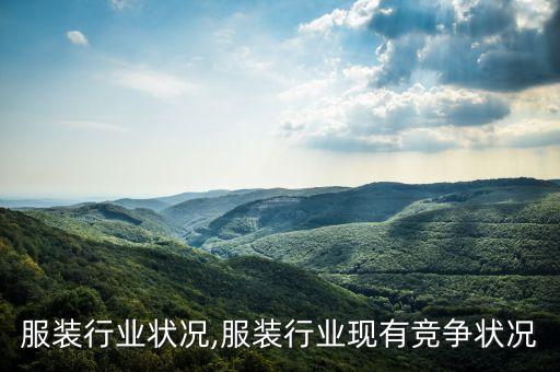服装行业状况,服装行业现有竞争状况