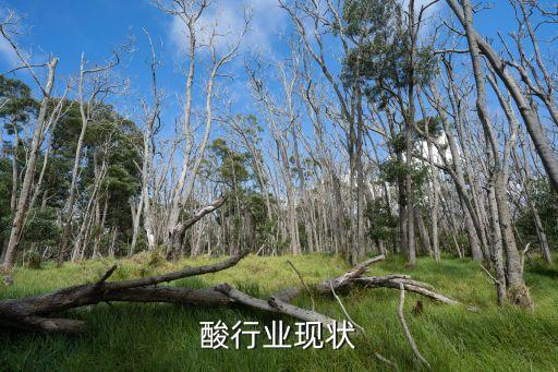 壬二酸行业现状