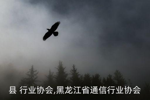 绍兴县 行业协会,黑龙江省通信行业协会