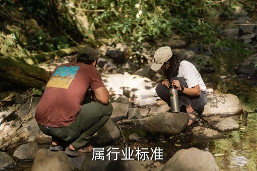 贵金属行业标准
