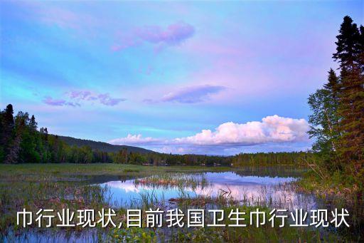 巾行业现状,目前我国卫生巾行业现状