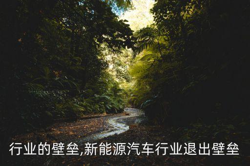 行业的壁垒,新能源汽车行业退出壁垒