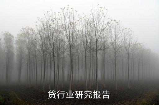 车抵贷行业研究报告