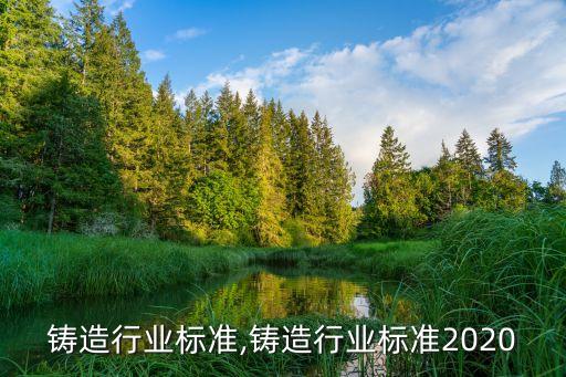 冶金铸造行业标准,铸造行业标准2020