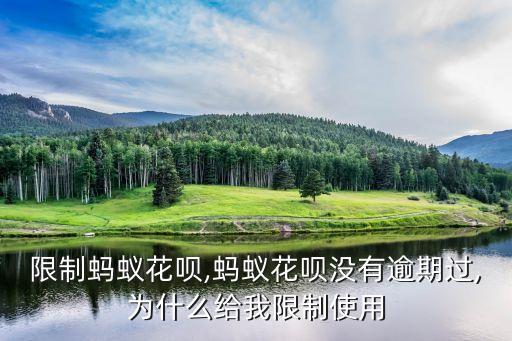 限制蚂蚁花呗,蚂蚁花呗没有逾期过,为什么给我限制使用