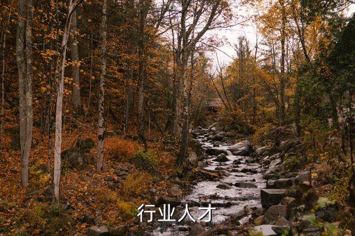 化工行业人才