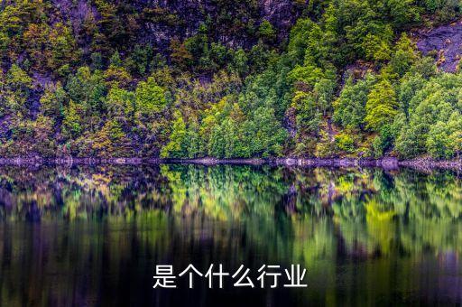 是个什么行业