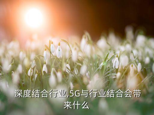 5g 深度结合行业,5G与行业结合会带来什么