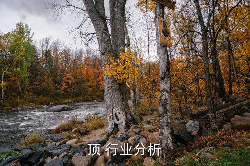 顶 行业分析