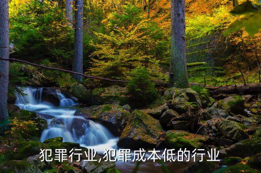 世界犯罪行业,犯罪成本低的行业
