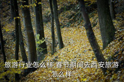 西安旅游行业怎么样,春节期间去西安旅游怎么样