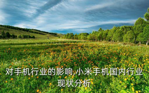 对手机行业的影响,小米手机国内行业现状分析