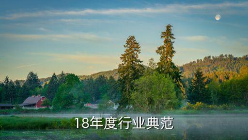 2018年度行业典范