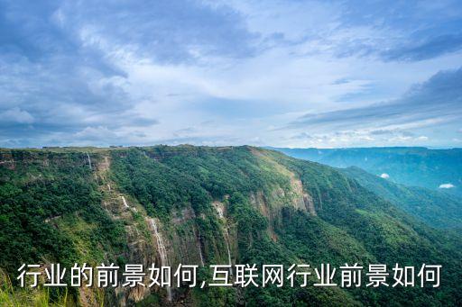 水晶行业的前景如何,互联网行业前景如何