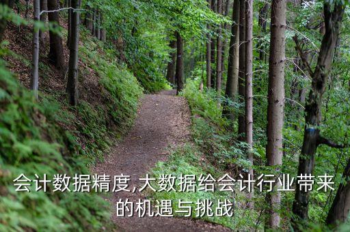 会计数据精度,大数据给会计行业带来的机遇与挑战
