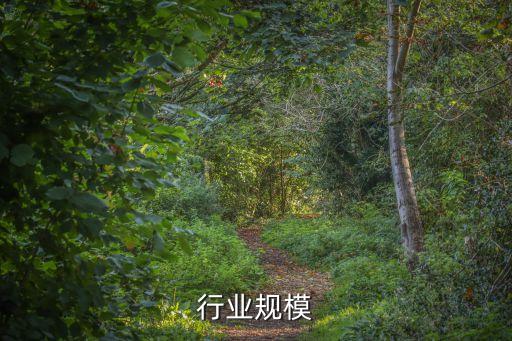 刨花行业规模