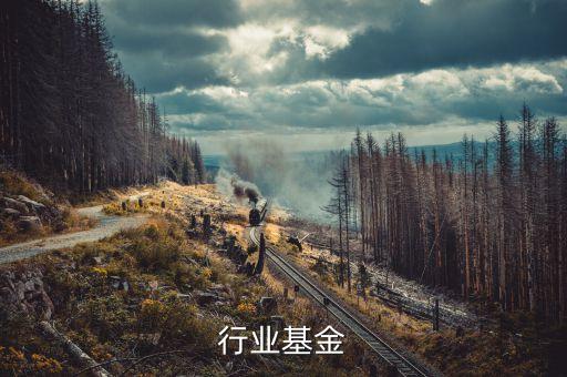 行业基金