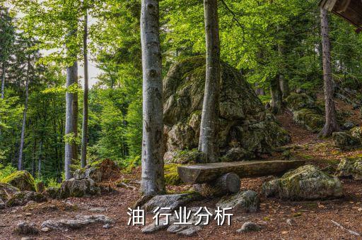 中石油 行业分析