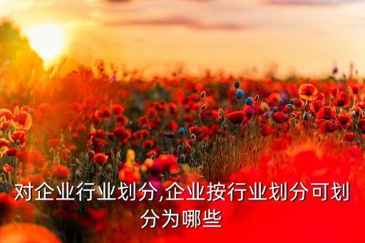 国税对企业行业划分,企业按行业划分可划分为哪些