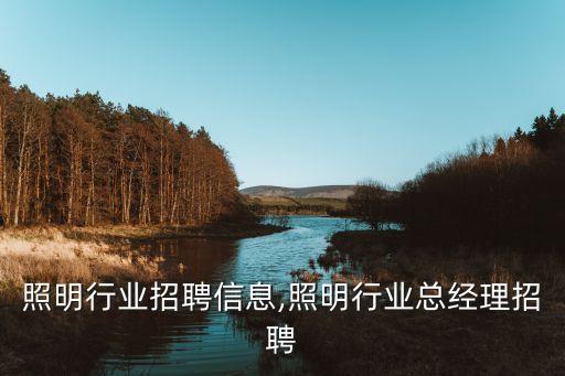 照明行业招聘信息,照明行业总经理招聘