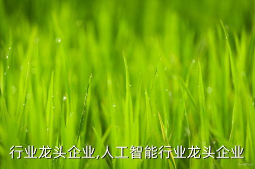 行业龙头企业,人工智能行业龙头企业