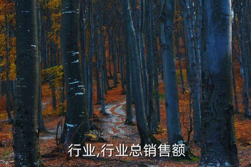 总铬 行业,行业总销售额