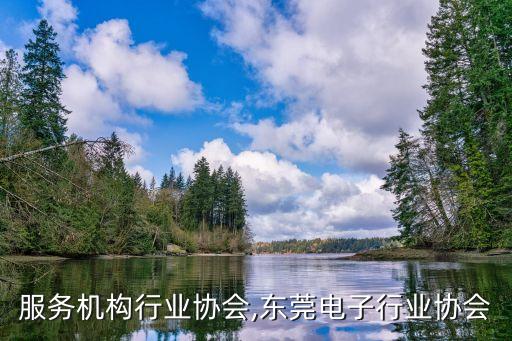 东莞服务机构行业协会,东莞电子行业协会