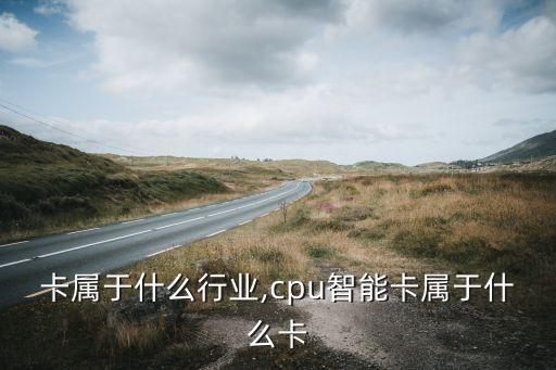 卡属于什么行业,cpu智能卡属于什么卡