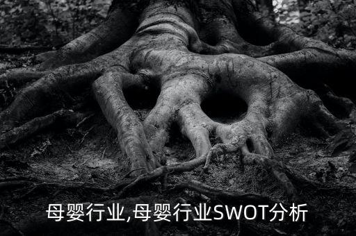 天耀母婴行业,母婴行业SWOT分析
