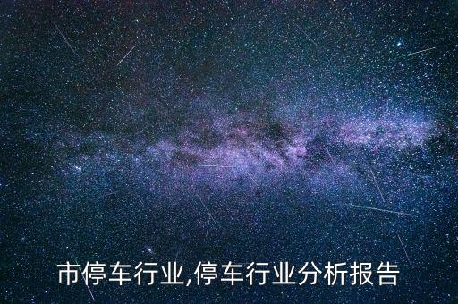 广州市停车行业,停车行业分析报告