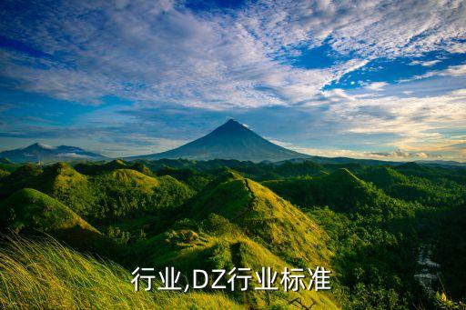 行业,DZ行业标准