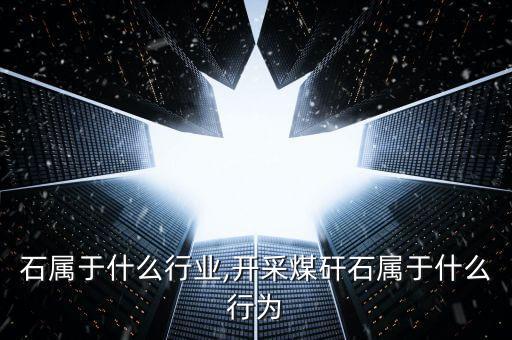 石属于什么行业,开采煤矸石属于什么行为