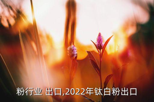 粉行业 出口,2022年钛白粉出口