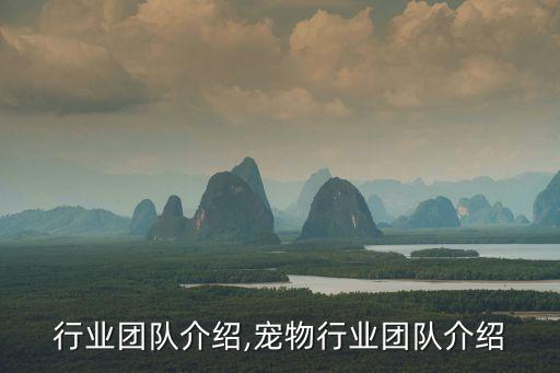 婚纱行业团队介绍,宠物行业团队介绍
