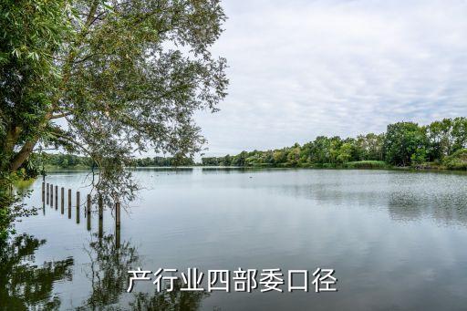 房地产行业四部委口径