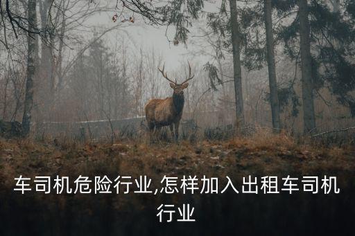 出租车司机危险行业,怎样加入出租车司机行业