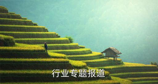 行业专题报道