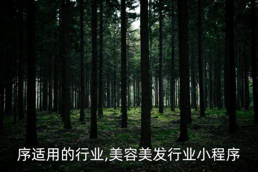序适用的行业,美容美发行业小程序