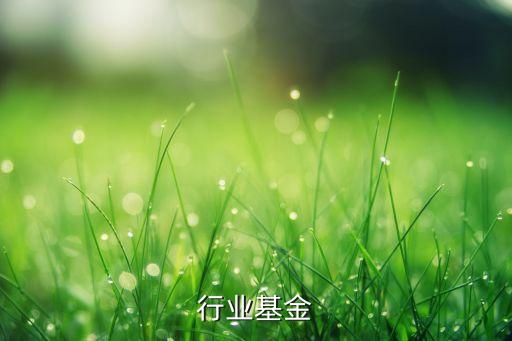 行业基金