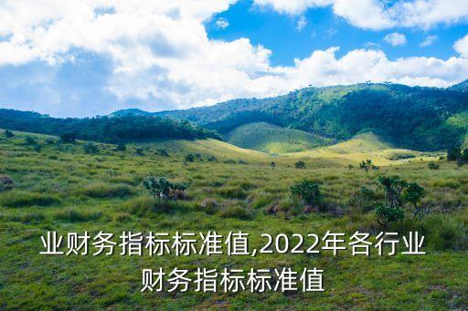业财务指标标准值,2022年各行业财务指标标准值