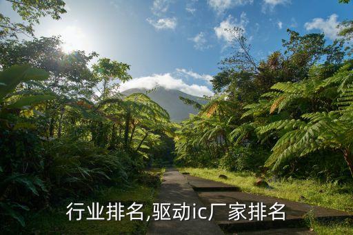 行业排名,驱动ic厂家排名