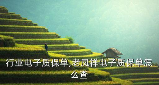 零售行业电子质保单,老凤祥电子质保单怎么查