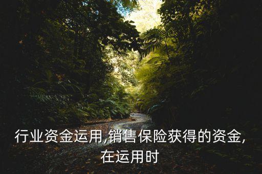行业资金运用,销售保险获得的资金,在运用时