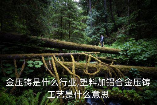 金压铸是什么行业,塑料加铝合金压铸工艺是什么意思